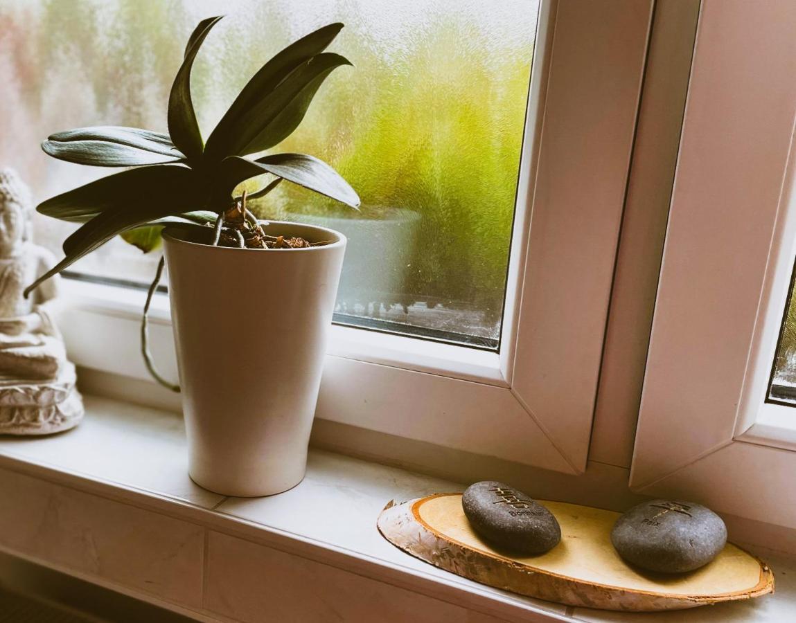 Modernes Appartement Im Gruenen - Stilvoll Und Komfortabel Köln Kültér fotó